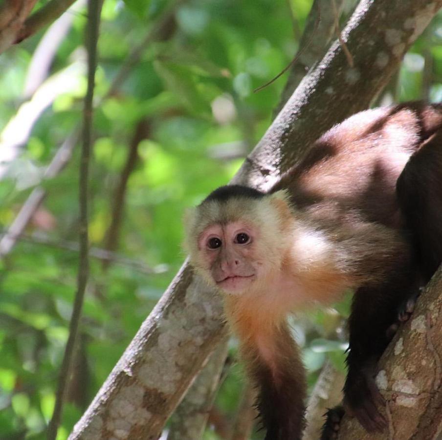 Camping Castilletes Parque Tayrona Bed & Breakfast เอลไซโน ภายนอก รูปภาพ