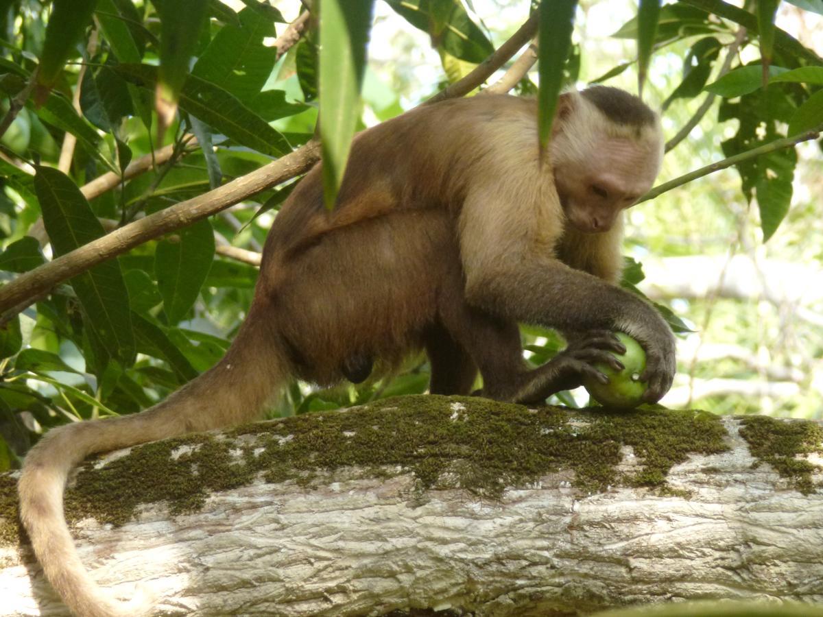 Camping Castilletes Parque Tayrona Bed & Breakfast เอลไซโน ภายนอก รูปภาพ