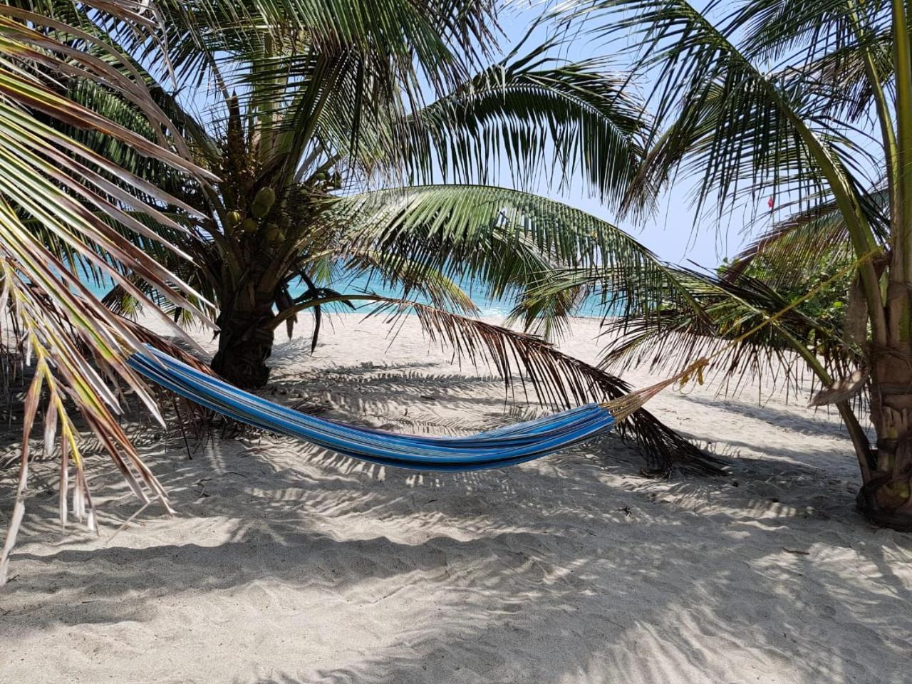 Camping Castilletes Parque Tayrona Bed & Breakfast เอลไซโน ภายนอก รูปภาพ